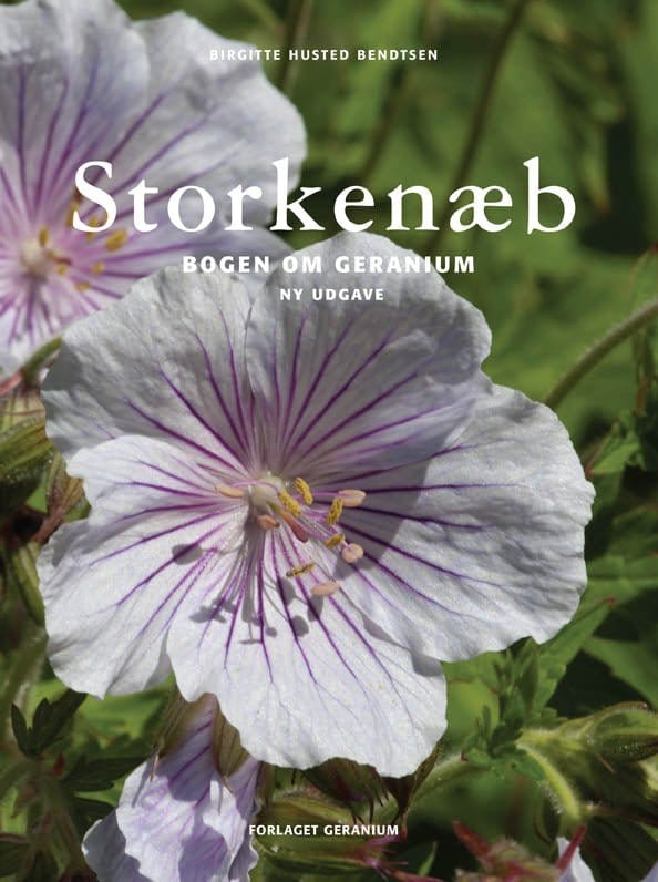 Storkenæb - Blomsterverden